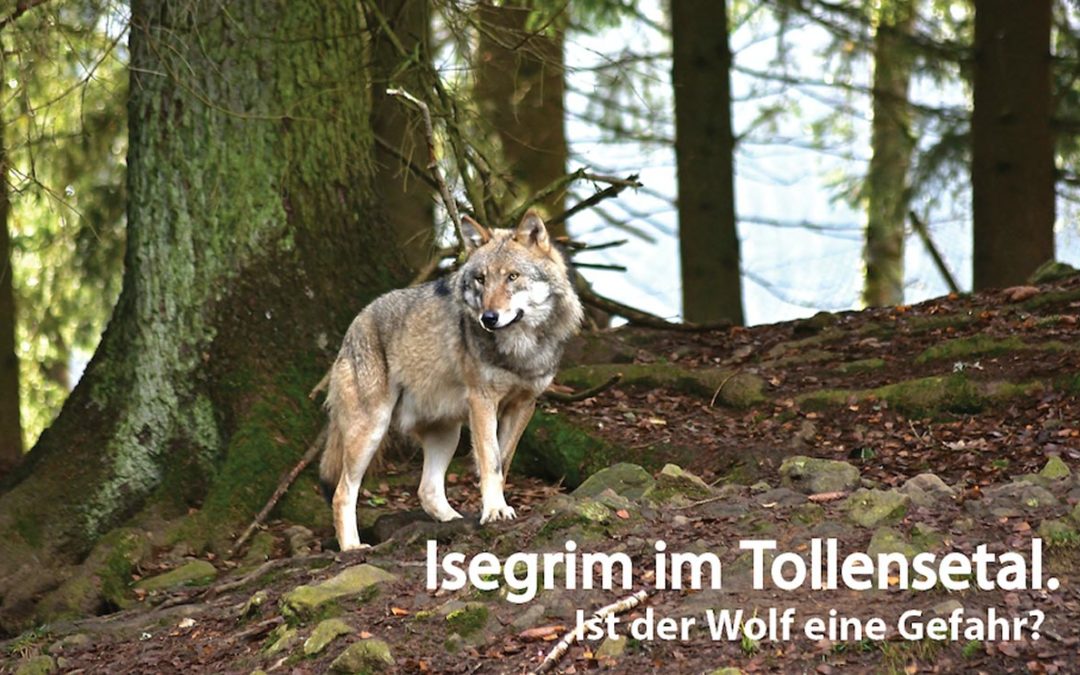 „Tollense-Dialoge – Ist der Wolf eine Gefahr?“