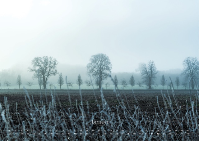 Tollensetal – Landschaften 2026 – Bild 14