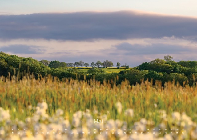 Tollensetal – Landschaften 2026 – Bild 10
