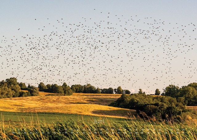 Tollensetal – Landschaften 2026 – Bild 9