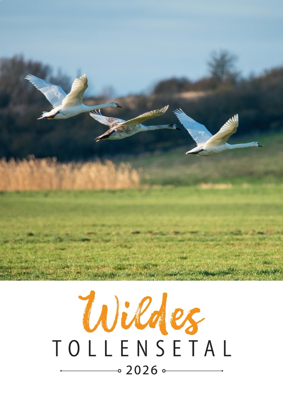 Wildes Tollensetal 2026 – Bild 2