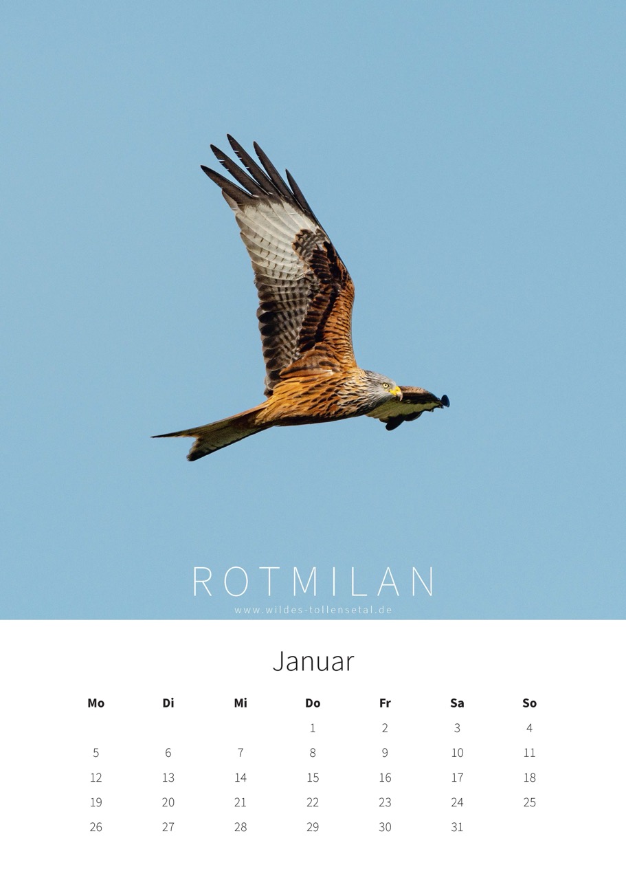 Wildes Tollensetal 2026 – Bild 4