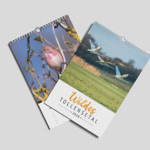 Wildes Tollensetal 2026