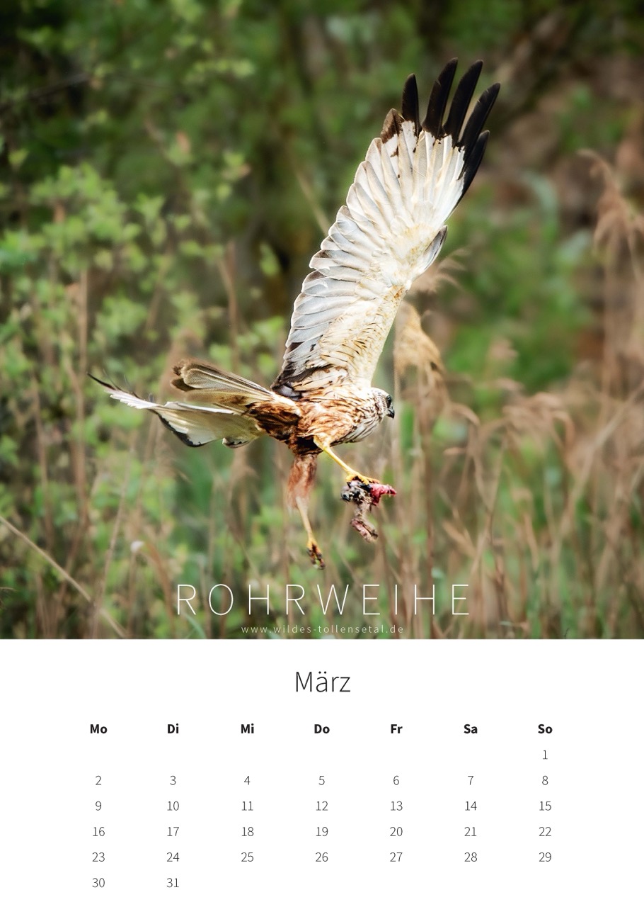 Wildes Tollensetal 2026 – Bild 6
