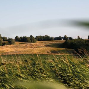 Sommerland