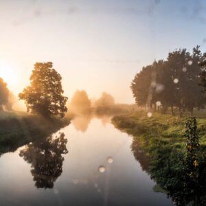 Morgen an der Tollense