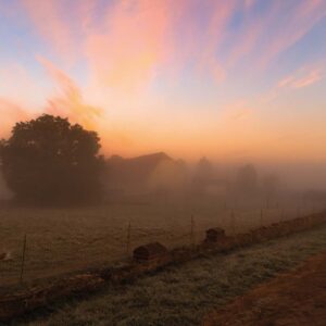 Morgens am Schlossgut