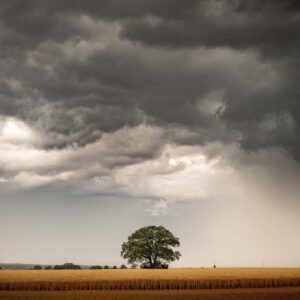 Vor dem Regen